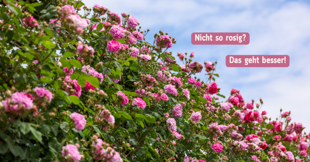 Langfristige Liebe Rosengarten